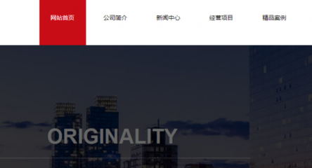 江苏枝秀老龄产业发展与我司做建网站项目