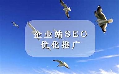江苏快排seo网站推广详解:免费seo网站推广|2024年08月更新