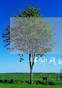 律师网站建设推广承诺守信-律师广告平台(9日推荐)