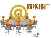 江苏斯点网络seo网站推广,南京包年优化服务公司策划方案
