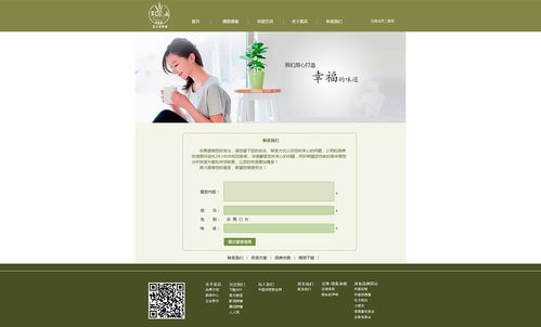 公司网站