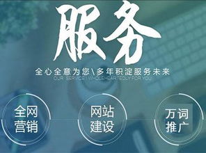 江苏苏州互联网全网推广新团队